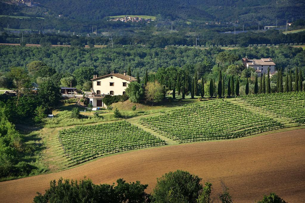 Il Collicello Villa Narni Luaran gambar